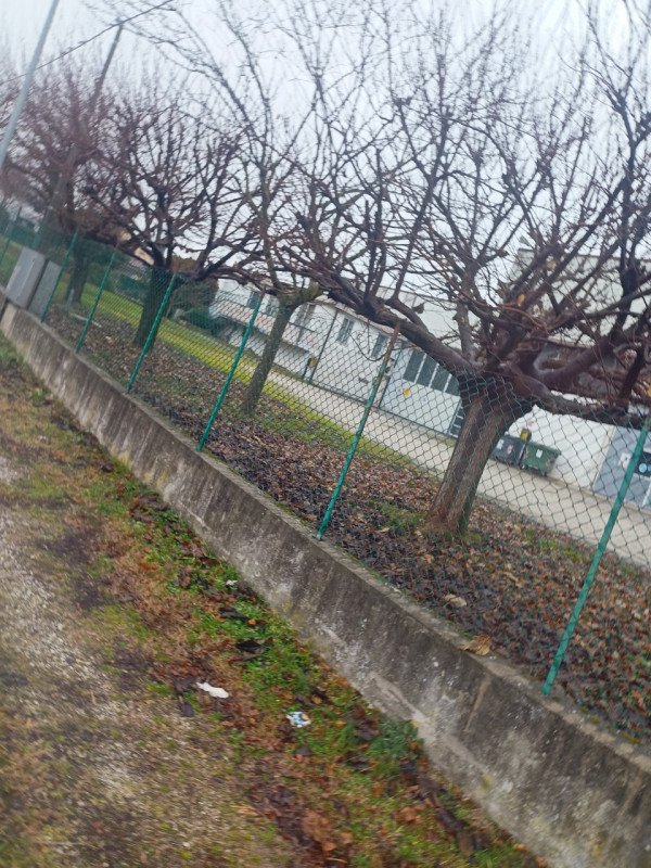 negozio in vendita a Rubano