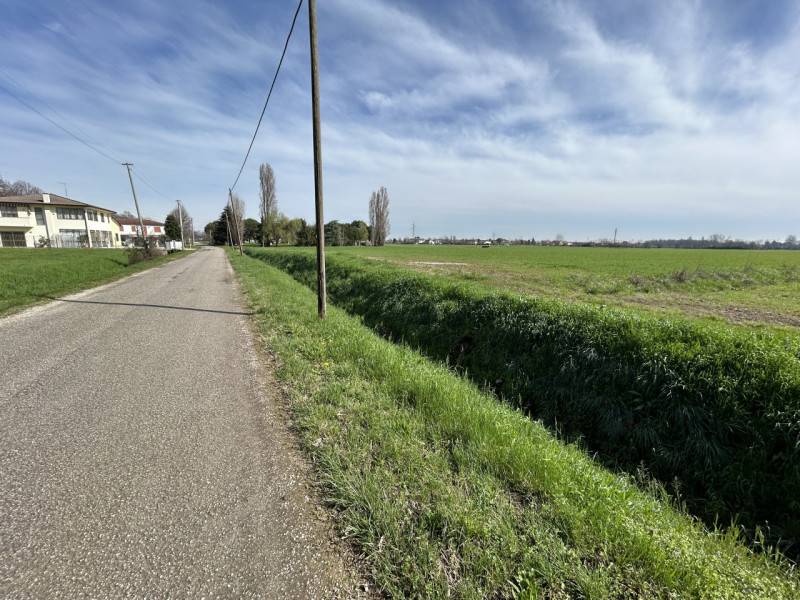 terreno agricolo in vendita a Rubano in zona Bosco