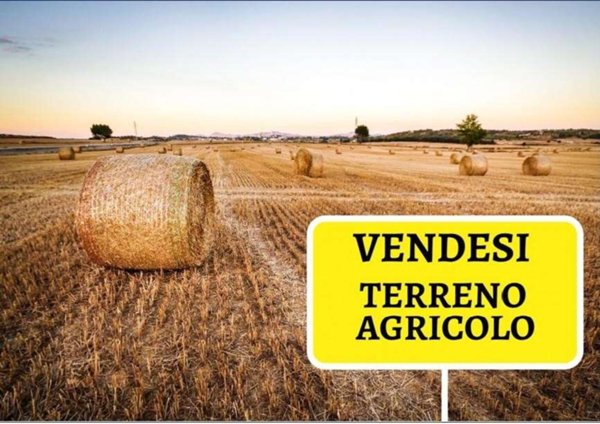 terreno agricolo in vendita a Rubano in zona Sarmeola