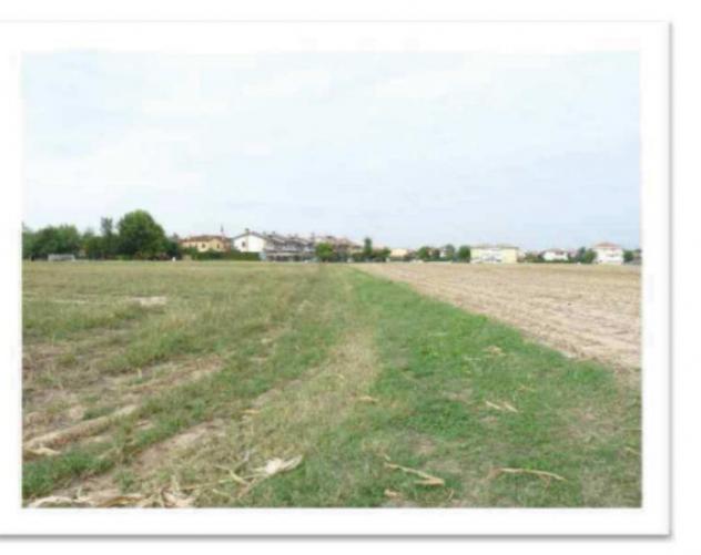 terreno agricolo in vendita a Rubano in zona Bosco