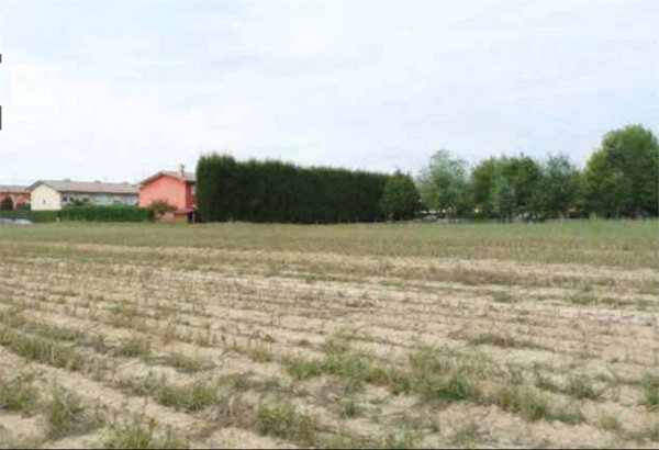 terreno agricolo in vendita a Rubano