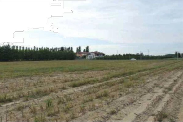 terreno agricolo in vendita a Rubano