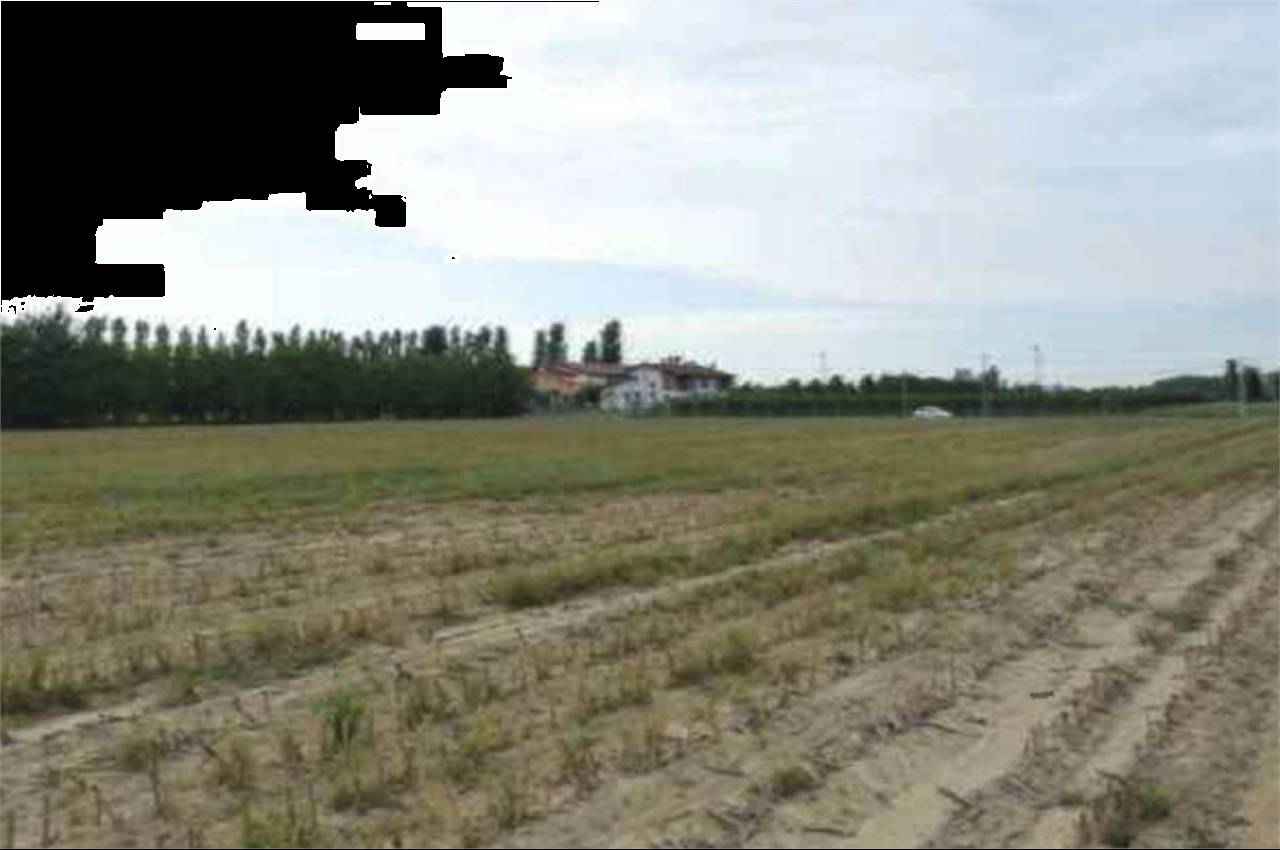 terreno agricolo in vendita a Rubano
