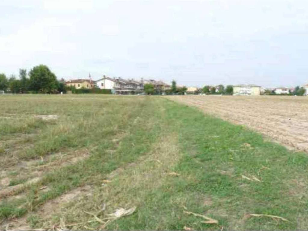 terreno agricolo in vendita a Rubano