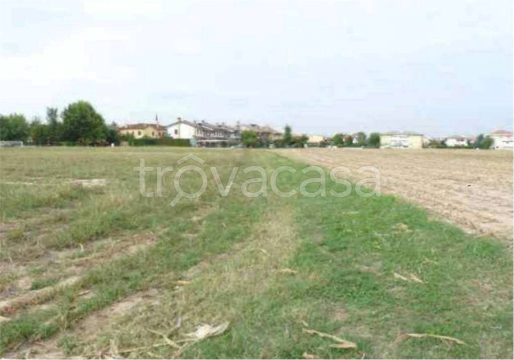 terreno agricolo in vendita a Rubano
