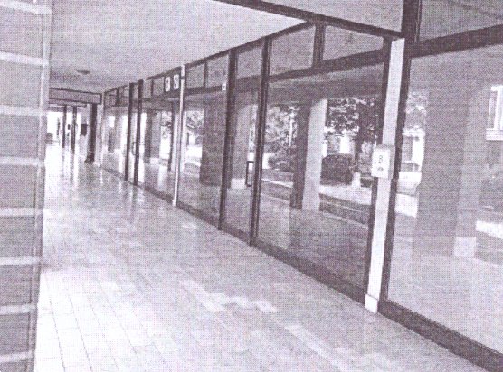 negozio in vendita a Rubano