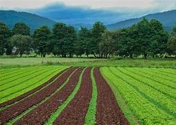 terreno edificabile in vendita a Rubano