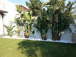 appartamento in vendita a Rubano