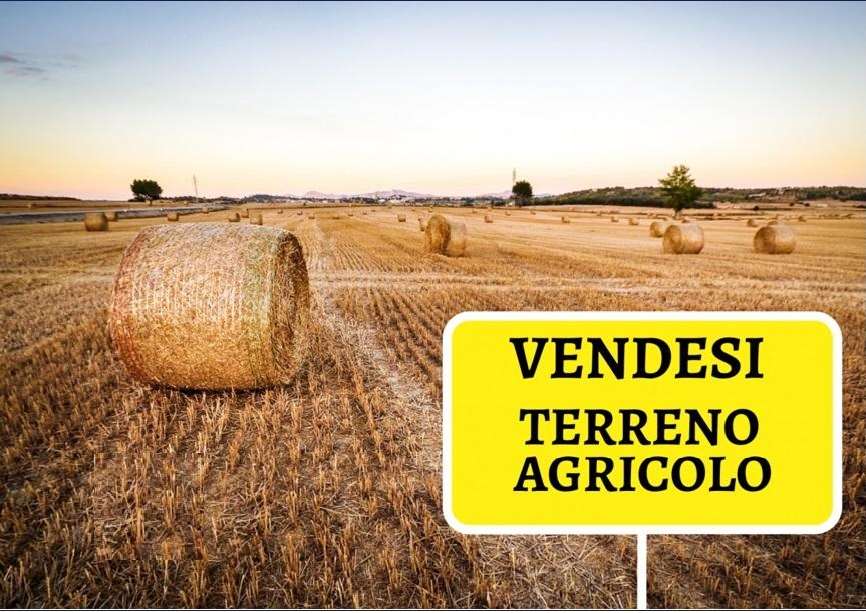 terreno agricolo in vendita a Rubano