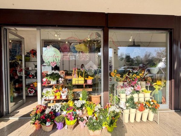 negozio in vendita a Rubano in zona Sarmeola