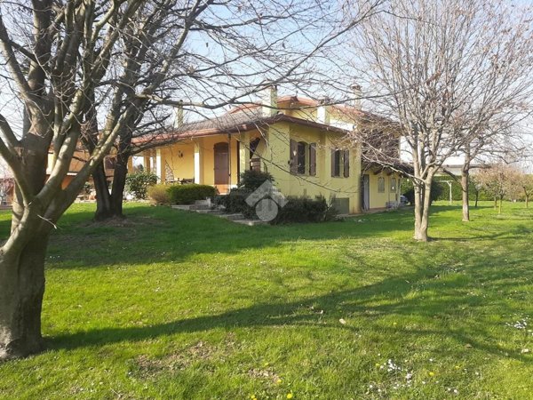 casa indipendente in vendita a Saccolongo