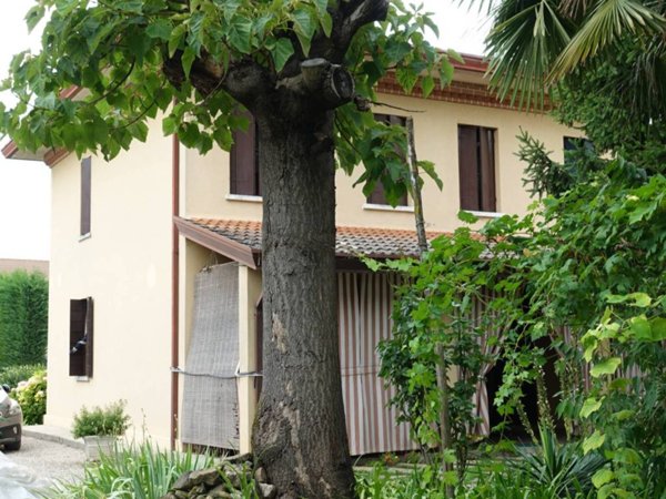 casa indipendente in vendita a Saccolongo
