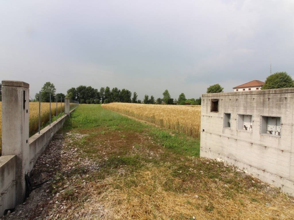 terreno agricolo in vendita a Saccolongo in zona Creòla