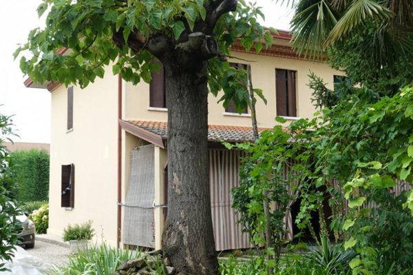 casa indipendente in vendita a Saccolongo