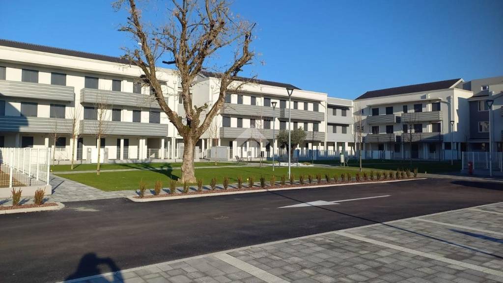 appartamento in vendita a Saccolongo