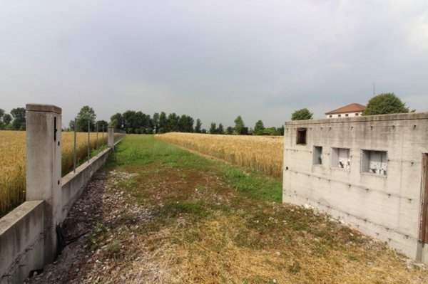 casa indipendente in vendita a Saccolongo in zona Creòla