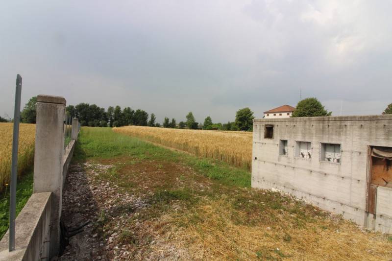 casa indipendente in vendita a Saccolongo in zona Creòla