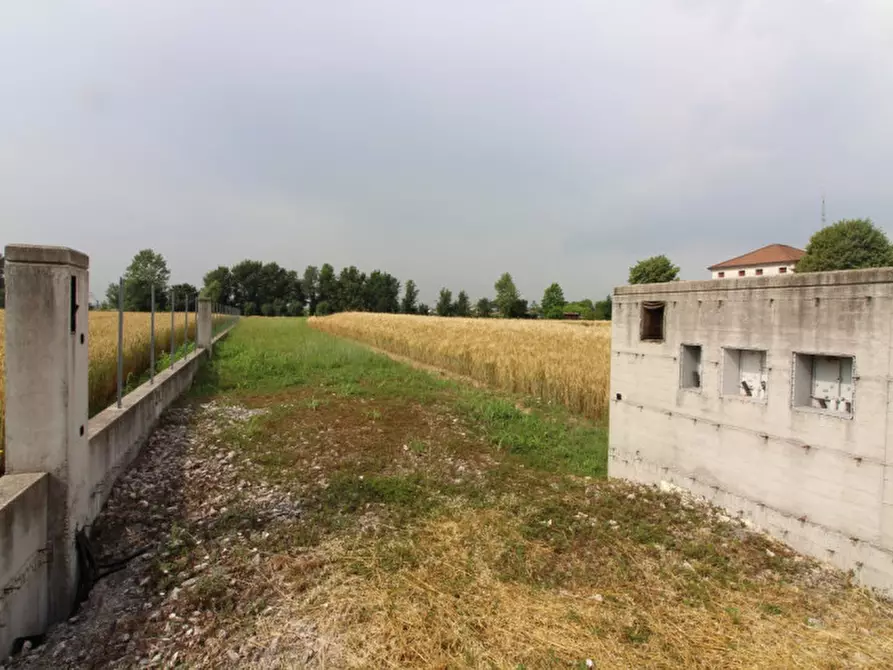 terreno edificabile in vendita a Saccolongo in zona Creòla