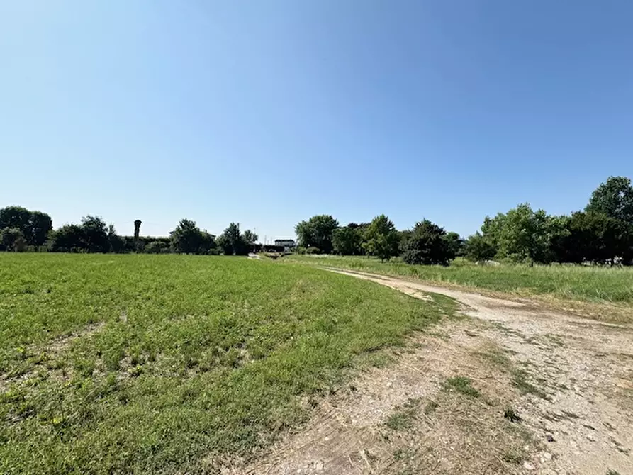 mansarda in vendita a Saccolongo in zona Creòla