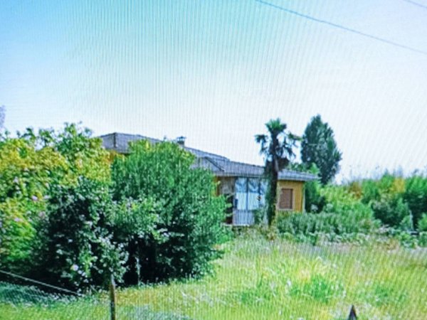 casa indipendente in vendita a Saccolongo
