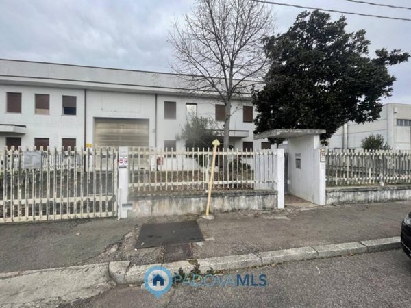 capannone in vendita a Saccolongo in zona Creòla