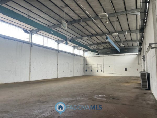 capannone in vendita a Saccolongo