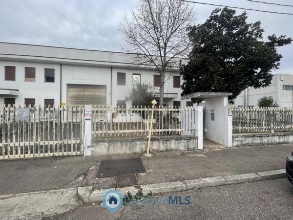 capannone in vendita a Saccolongo