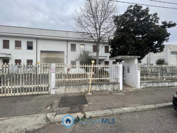 casa indipendente in vendita a Saccolongo