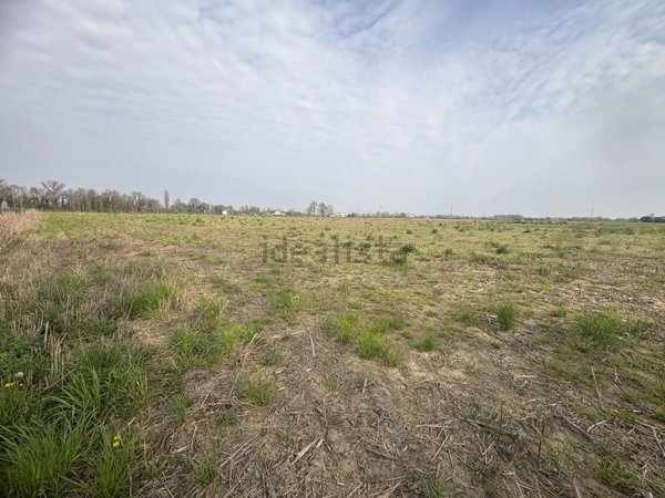 terreno agricolo in vendita a Saccolongo