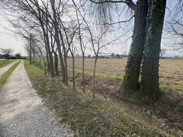terreno agricolo in vendita a Saccolongo in zona Creòla