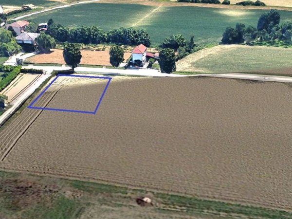 terreno agricolo in vendita a Saccolongo