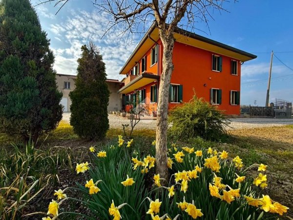 casa indipendente in vendita a Saccolongo