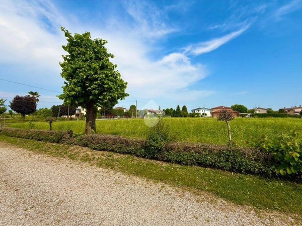 terreno agricolo in vendita a Saccolongo