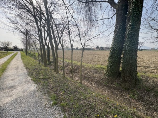 azienda agricola in vendita a Saccolongo