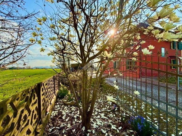casa indipendente in vendita a Saccolongo in zona Creòla