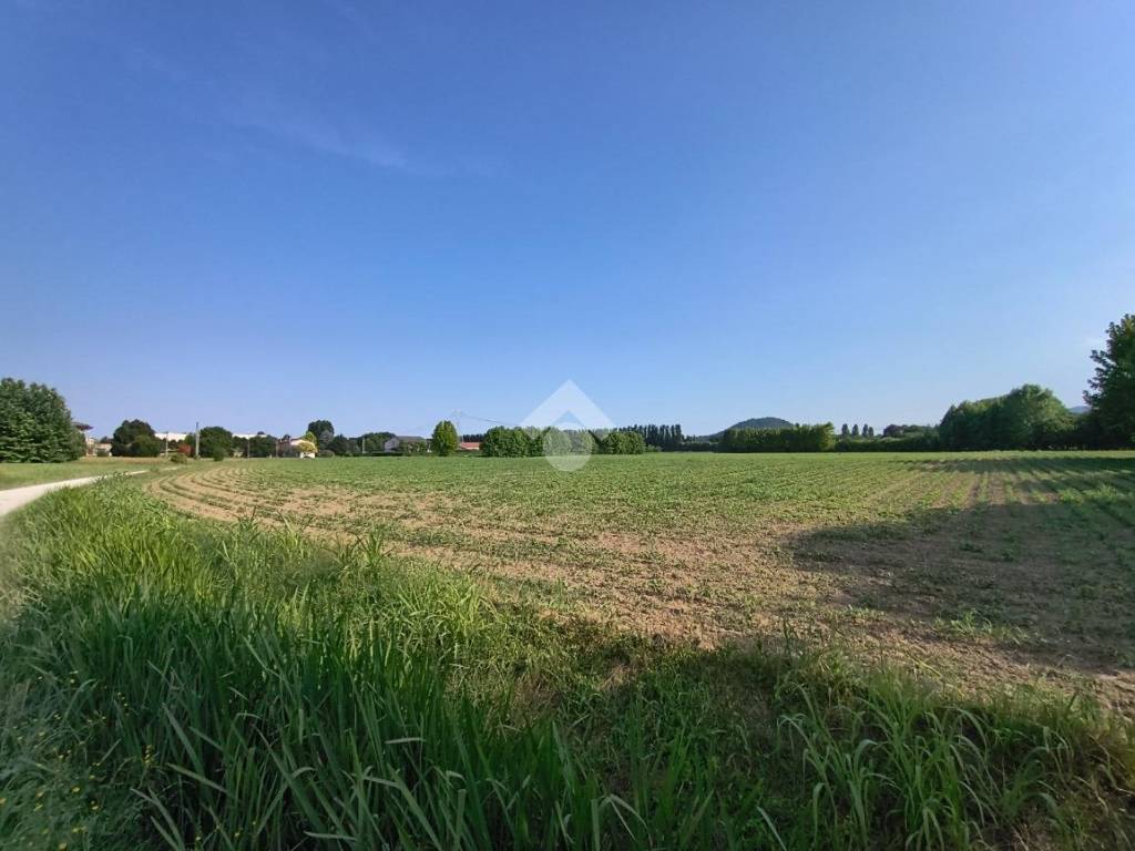 terreno edificabile in vendita a Saccolongo in zona Creòla
