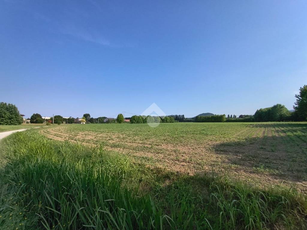terreno edificabile in vendita a Saccolongo in zona Creòla