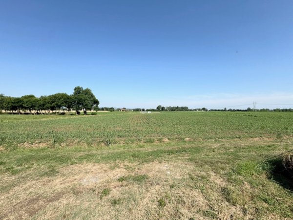 terreno agricolo in vendita a Saccolongo in zona Creòla