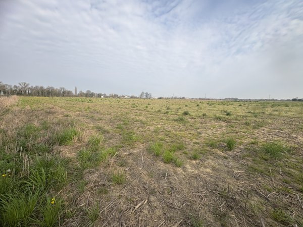 azienda agricola in vendita a Saccolongo in zona Creòla