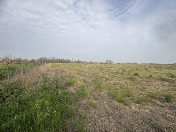 azienda agricola in vendita a Saccolongo in zona Creòla