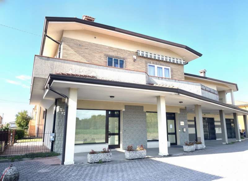 appartamento in vendita a Saccolongo