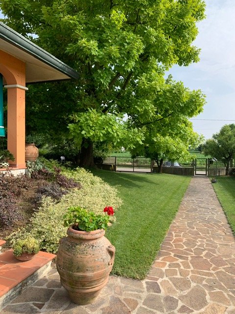 casa indipendente in vendita a San Giorgio delle Pertiche in zona Cavino