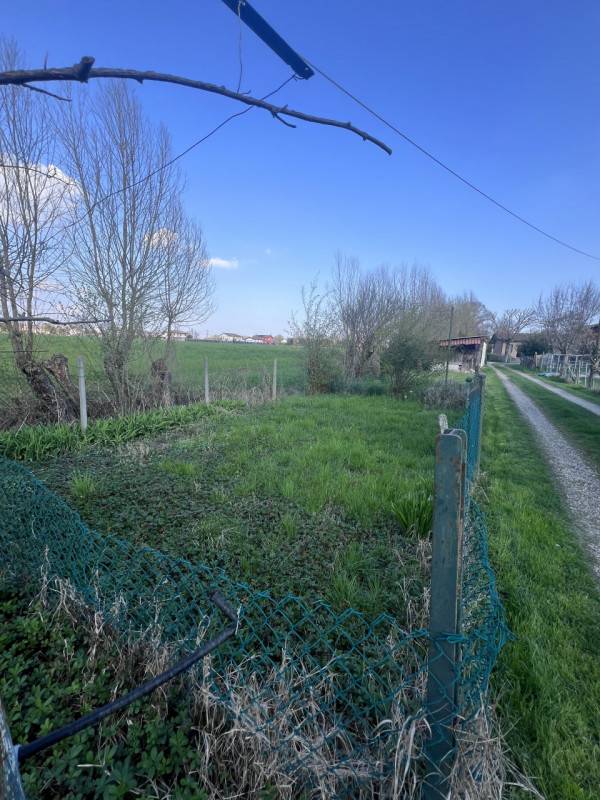 terreno agricolo in vendita a San Giorgio delle Pertiche