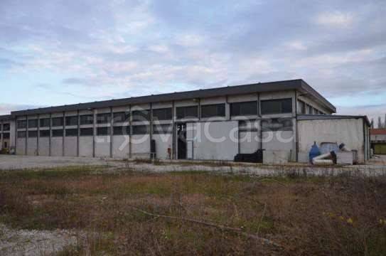 appartamento in vendita a San Giorgio delle Pertiche