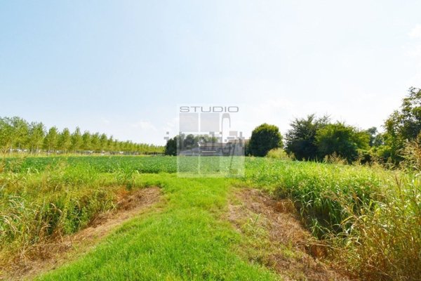 casa indipendente in vendita a San Giorgio delle Pertiche
