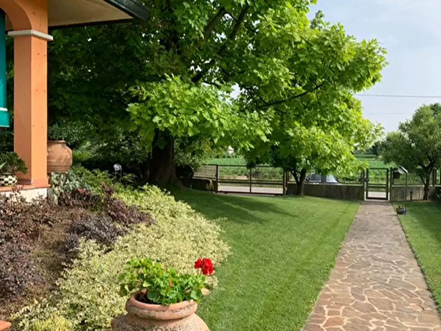 casa indipendente in vendita a San Giorgio delle Pertiche in zona Cavino