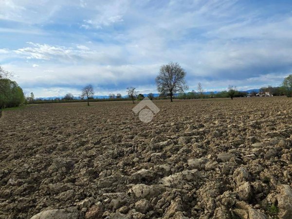 terreno agricolo in vendita a San Giorgio delle Pertiche in zona Cavino