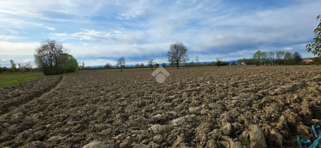terreno agricolo in vendita a San Giorgio delle Pertiche in zona Cavino