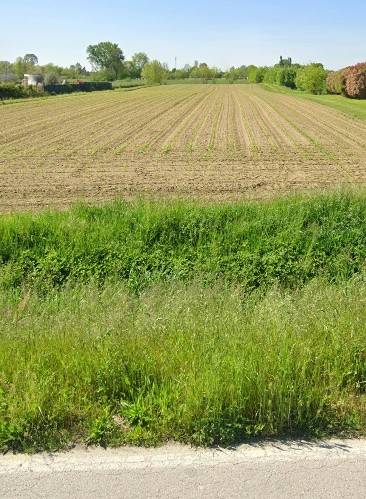 terreno in vendita a San Giorgio delle Pertiche in zona Cavino