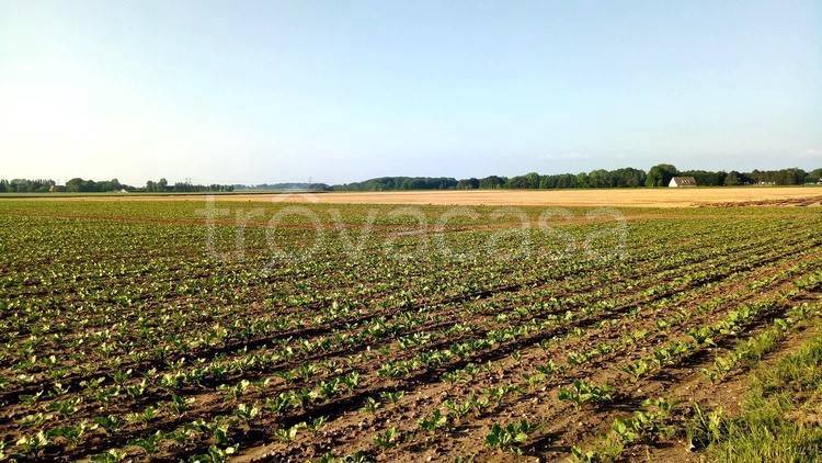 terreno agricolo in vendita a San Giorgio in Bosco